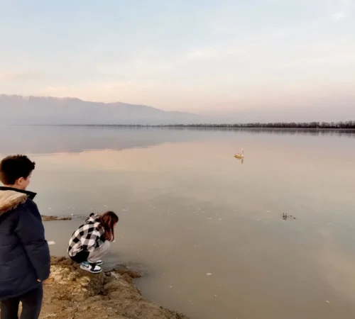 Λίμνη Κερκίνη